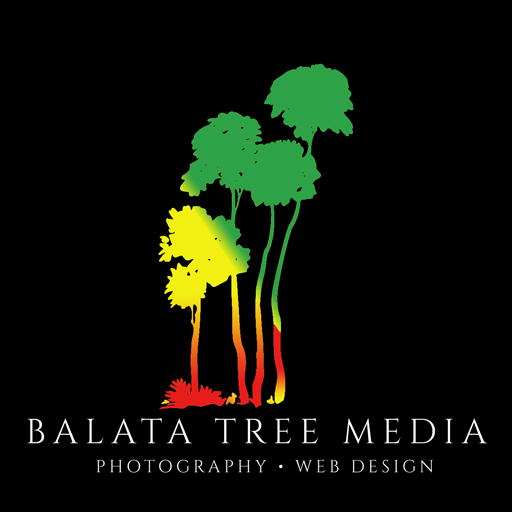 Website Design & Professional Photography Services / Balata Tree Media / NJ